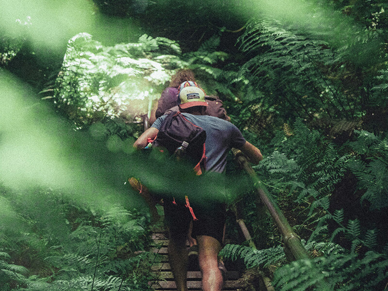 Two people are walking along a forest path lined with ferns, a symbol of time out in nature.