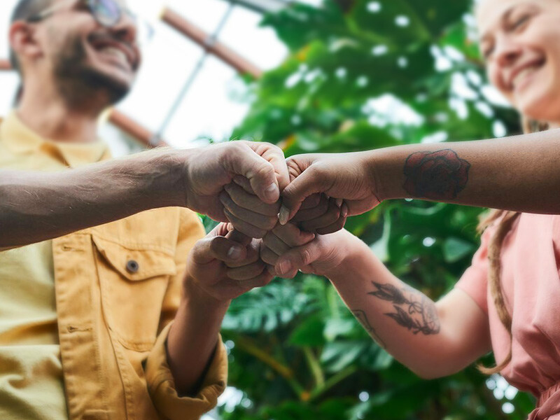 Four smiling people perform a teamwork fist salute in front of a plant, symbolizing cooperation.